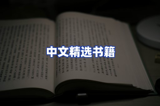 中文精选书籍